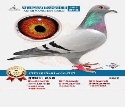 ��������ɽ����423��