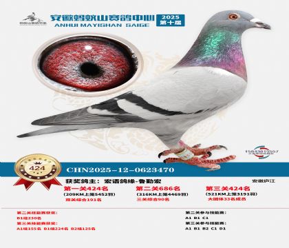 ��������ɽ����424��