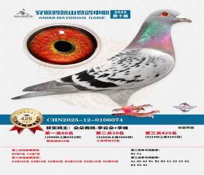 ��������ɽ����425��