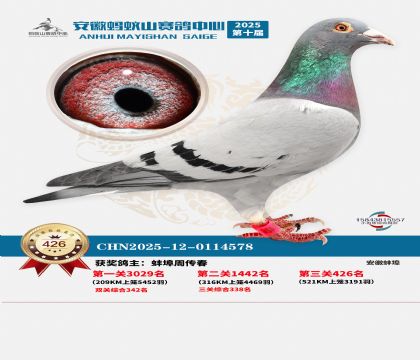 ��������ɽ����426��