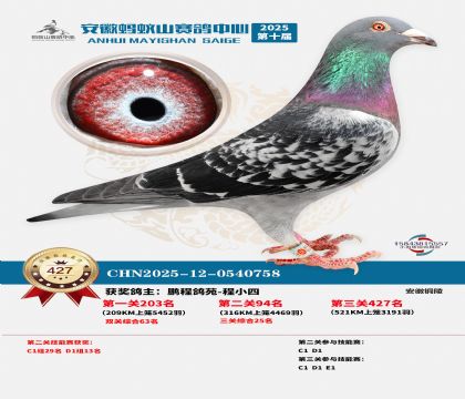 ��������ɽ����427��