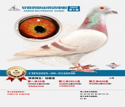 ��������ɽ����428��