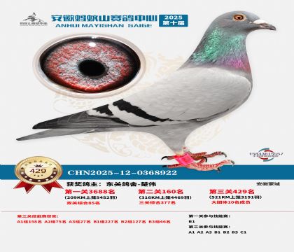 ��������ɽ����429��