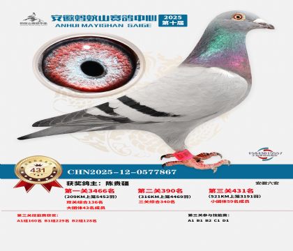 ��������ɽ����431��