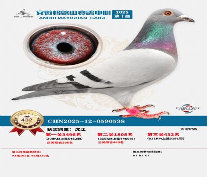 ��������ɽ����432��