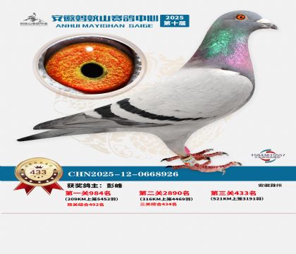 ��������ɽ����433��