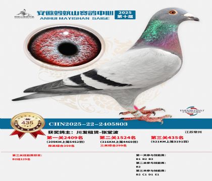 ��������ɽ����435��