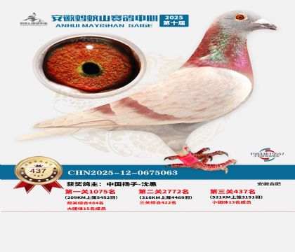 ��������ɽ����437��