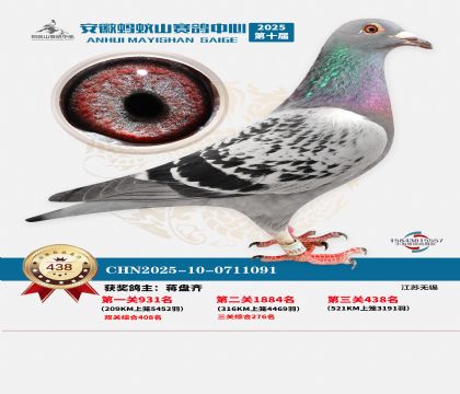 ��������ɽ����438��