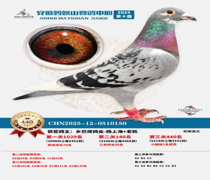 ��������ɽ����440��