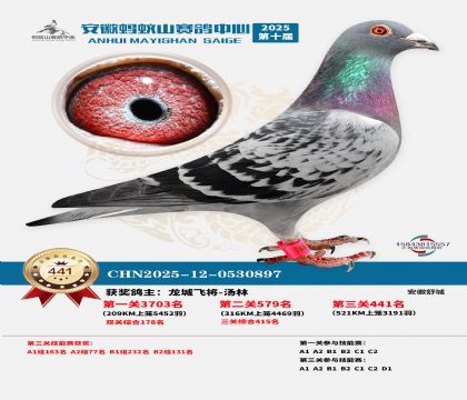 ��������ɽ����441��