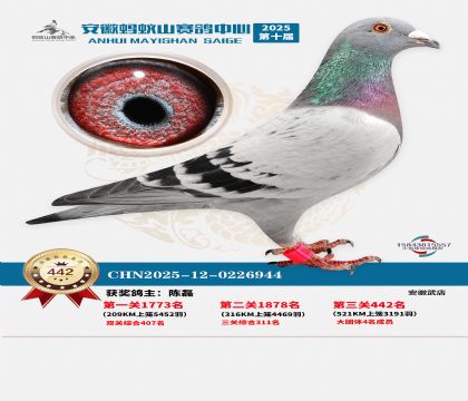 ��������ɽ����442��