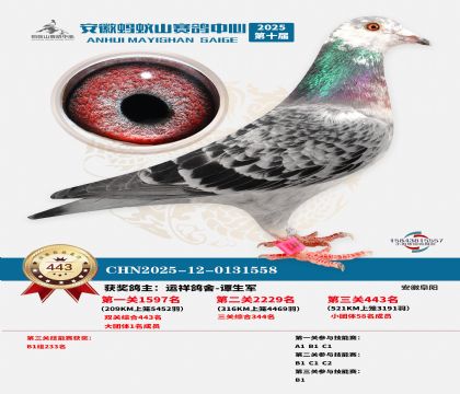 ��������ɽ����443��