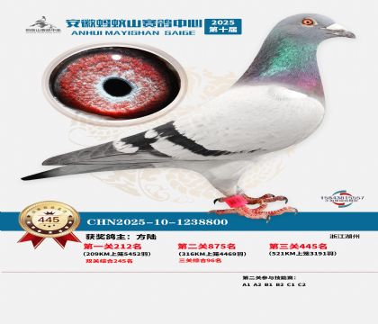 ��������ɽ����445��