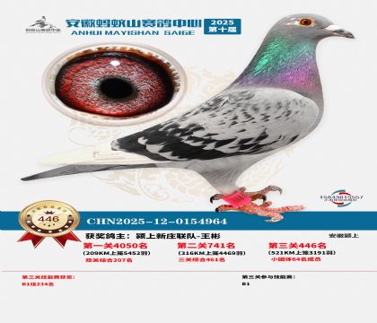 ��������ɽ����446��