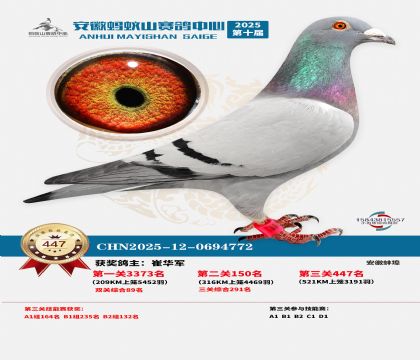 ��������ɽ����447��