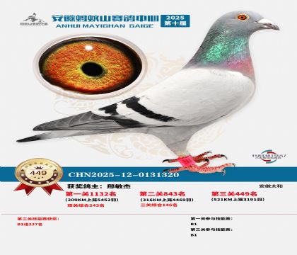 ��������ɽ����449��