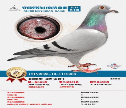 ��������ɽ����452��