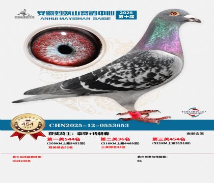 ��������ɽ����454��