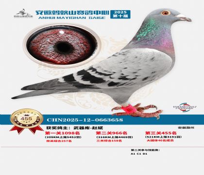 ��������ɽ����455��