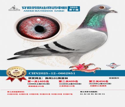 ��������ɽ����456��