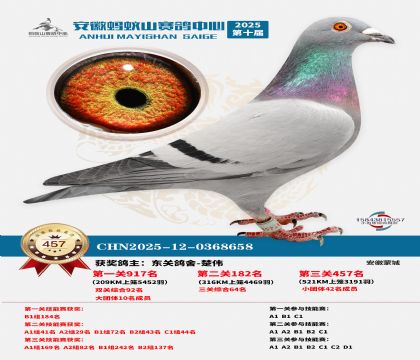 ��������ɽ����457��