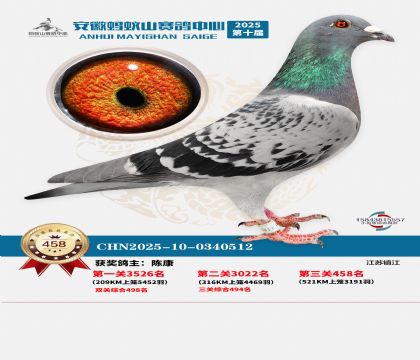 ��������ɽ����458��