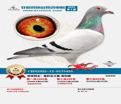 ��������ɽ����459��