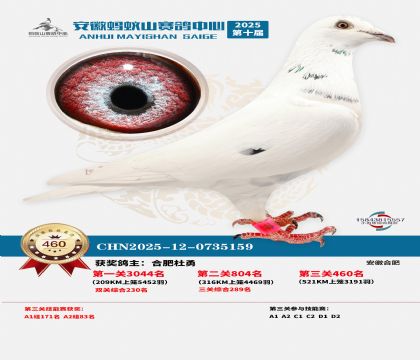 ��������ɽ����460��