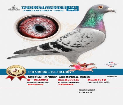 ��������ɽ����461��