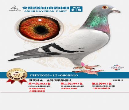 ��������ɽ����462��