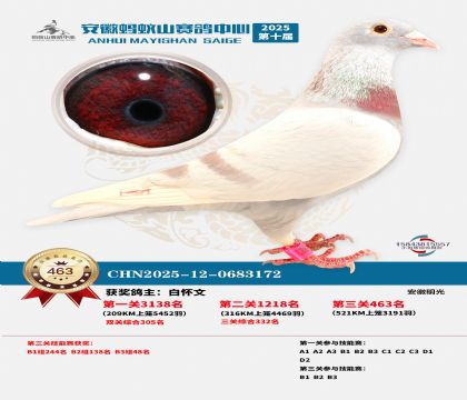 ��������ɽ����463��