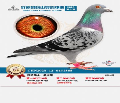 ��������ɽ����465��