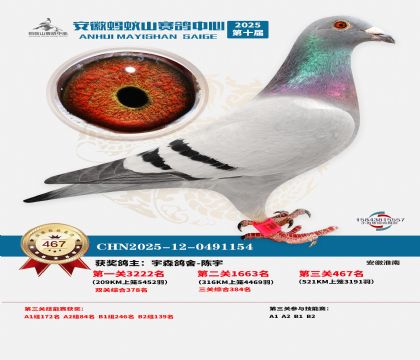 ��������ɽ����467��