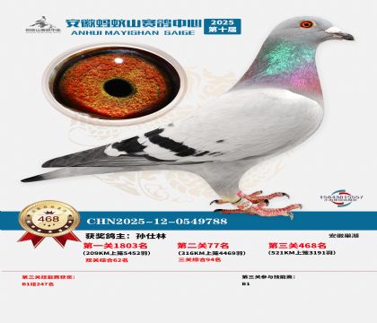 ��������ɽ����468��