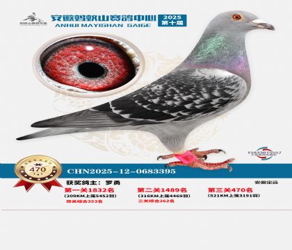 ��������ɽ����470��