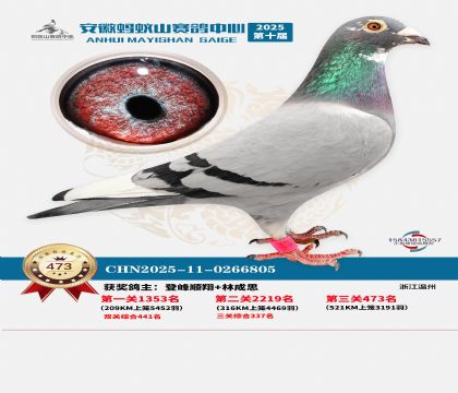 ��������ɽ����473��