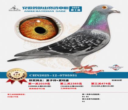 ��������ɽ����474��