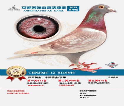 ��������ɽ����475��