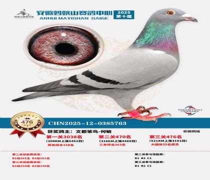 ��������ɽ����476��