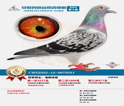 ��������ɽ����477��