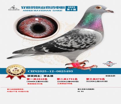 ��������ɽ����478��