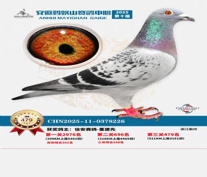 ��������ɽ����479��