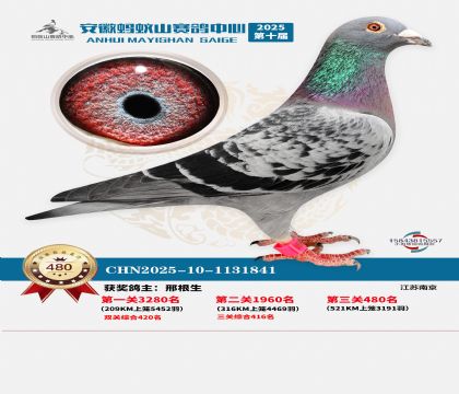 ��������ɽ����480��