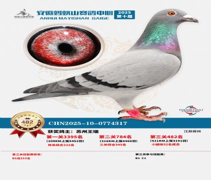 ��������ɽ����482��