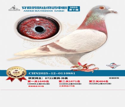 ��������ɽ����484��