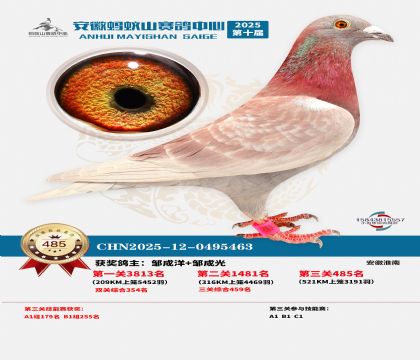 ��������ɽ����485��