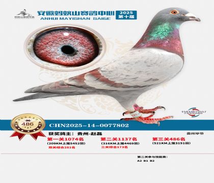 ��������ɽ����486��