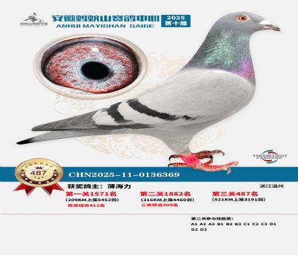 ��������ɽ����487��