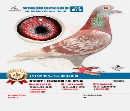 ��������ɽ����489��